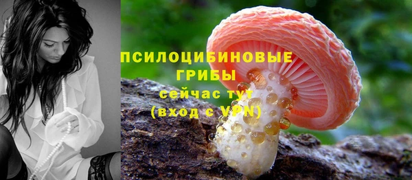 МДМА Медногорск