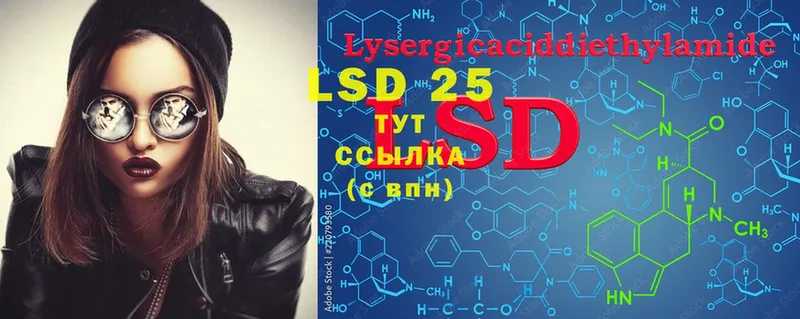 блэк спрут как зайти  Елабуга  LSD-25 экстази кислота 