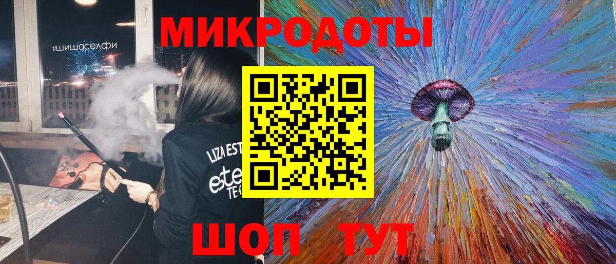 Псилоцибиновые грибы Psilocybe Елабуга