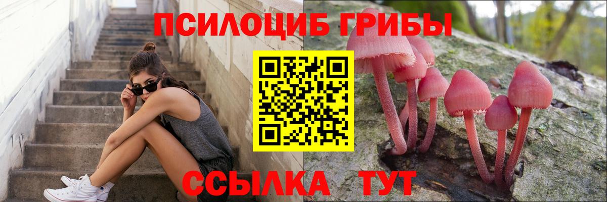 Елабуга  Галлюциногенные грибы Psilocybine cubensis  Вход с VPN 